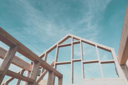 N&eacute;goce du bois au Havre, du ch&ecirc;ne aux essences exotiques